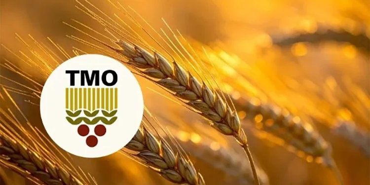 TMO, kasımda piyasaya 5,5 milyon ton hububat arz edecek 1 TMO