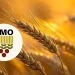 TMO, kasımda piyasaya 5,5 milyon ton hububat arz edecek 6 TMO, kasımda piyasaya 5,5 milyon ton hububat arz edecek