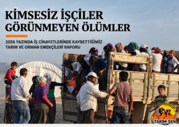 2026 Yaz Ayları Tarımda İş Cinayetleri Raporu