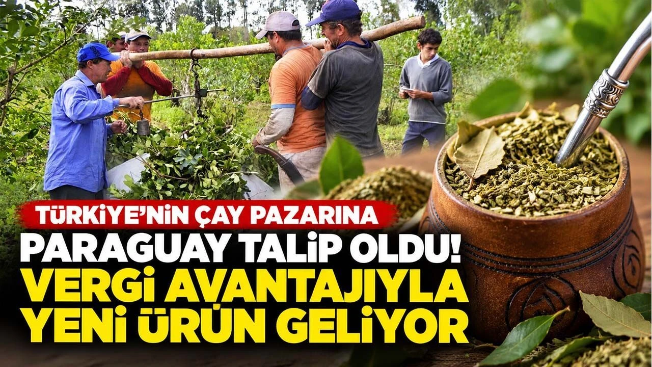 Turkiyenin cay pazarina Paraguay talip oldu