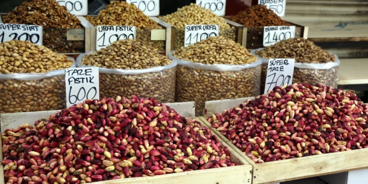 Turkiyenin fistik ihracati