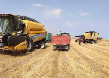 Türkiye'nin tarım ihracatında tarihi rekor: 3 sektör zirveyi gördü 17 Türkiye’nin tarım ihracatında tarihi rekor: 3 sektör zirveyi gördü