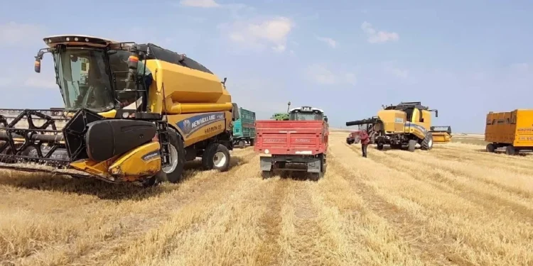 Turkiyenin tarim ihracati