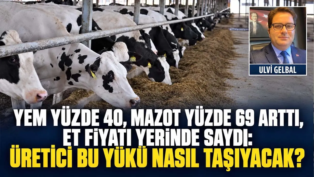 Ulvi Gelbal