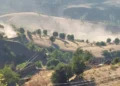 Vahşi yıkımı hemen durdurun