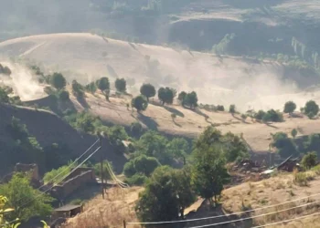 Vahşi yıkımı hemen durdurun