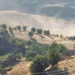 Vahşi yıkımı hemen durdurun