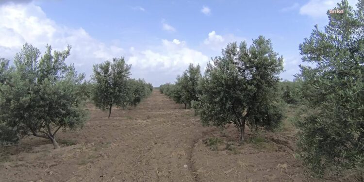 Lavc59.13.101