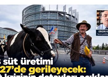 AB süt üretimi 2027’de gerileyecek: Süt krizinin detayları açıklandı