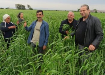 Hatay’da Agroekolojinin Temelleri Sağlamlaşıyor