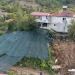 İlk kez yetiştirdi, beklediğinden fazlasını kazandı: Kilosu 500 liradan satılıyor 6 İlk kez yetiştirdi, beklediğinden fazlasını kazandı: Kilosu 500 liradan satılıyor