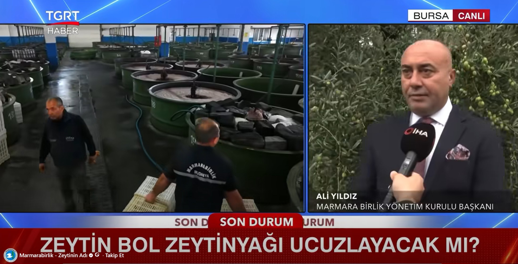Marmarabirlik Yönetim Kurulu Başkanı Ali Yıldız, TGRT Haber ekranlarında canlı yayın konuğu oldu