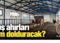 Boş ahırları kim dolduracak?