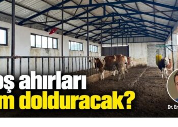 Boş ahırları kim dolduracak?