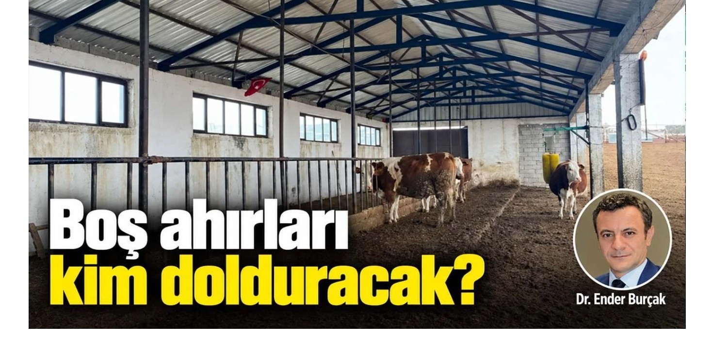 Boş ahırları kim dolduracak?