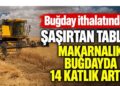 Buğday ithalatında şaşırtan tablo! Makarnalık buğdayda 14 katlık artış