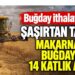 Buğday ithalatında şaşırtan tablo! Makarnalık buğdayda 14 katlık artış
