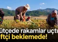 Bütçede rakamlar uçtu, çiftçi beklemede! 8 Bütçede rakamlar uçtu, çiftçi beklemede!