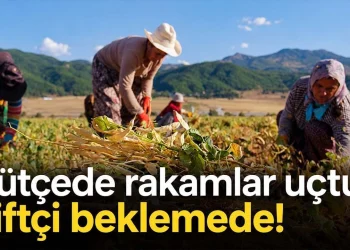 Bütçede rakamlar uçtu, çiftçi beklemede! 17 Bütçede rakamlar uçtu, çiftçi beklemede!
