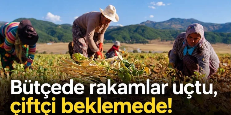 Bütçede rakamlar uçtu, çiftçi beklemede! 1 butce tarim