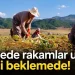 Bütçede rakamlar uçtu, çiftçi beklemede!