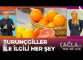 Diyetisyen Selahattin Dönmez’den Turunçgillerin Faydaları – Çağla İle Yeni Bir Gün 726. Bölüm