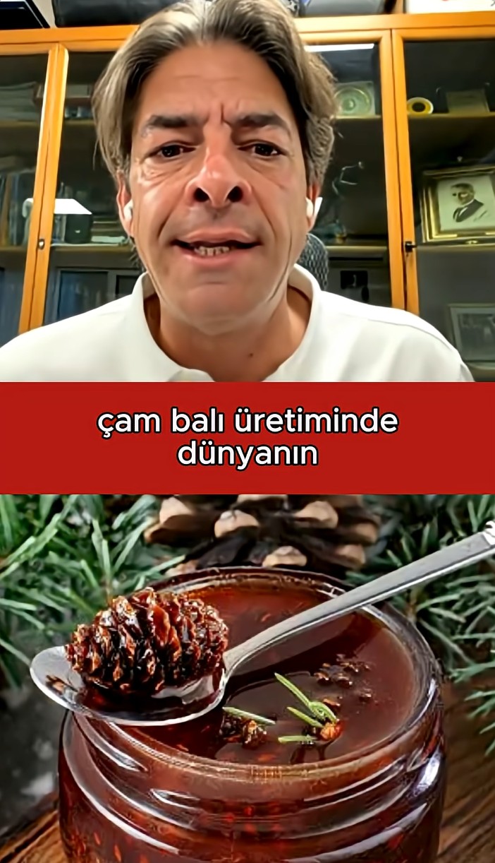 Milyar Dolarlık Çam Balı Fırsatını Nasıl Kaçırıyoruz?