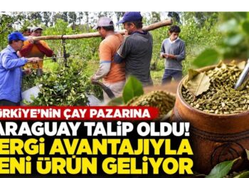 Türkiye’nin çay pazarına Paraguay talip oldu! Vergi avantajıyla yeni ürün geliyor