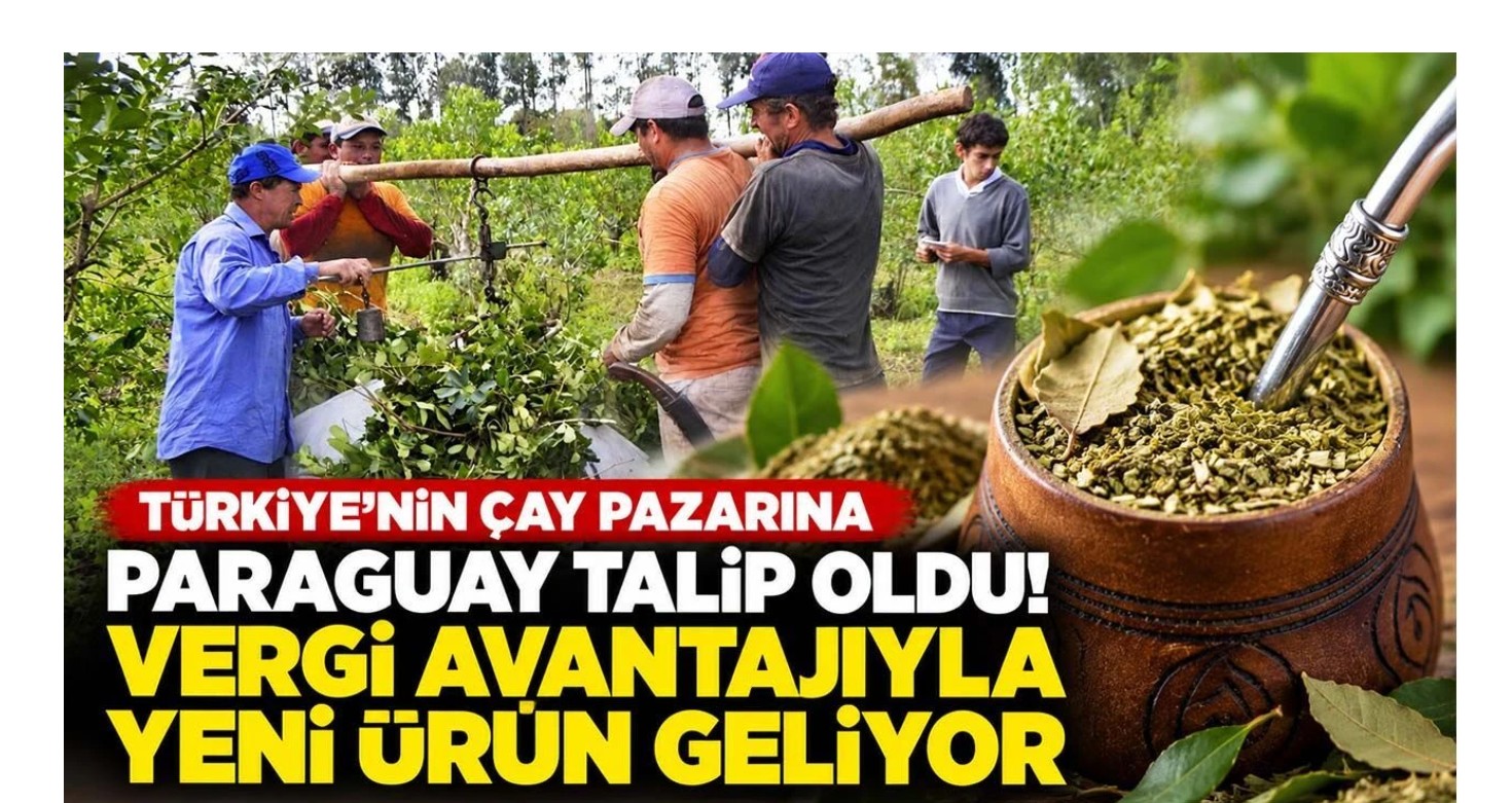 Türkiye’nin çay pazarına Paraguay talip oldu! Vergi avantajıyla yeni ürün geliyor