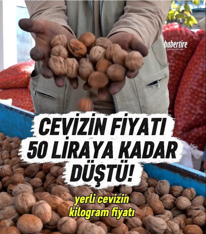 Cevizin fiyatı 50 liraya kadar düştü