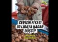 Cevizin fiyatı 50 liraya kadar düştü
