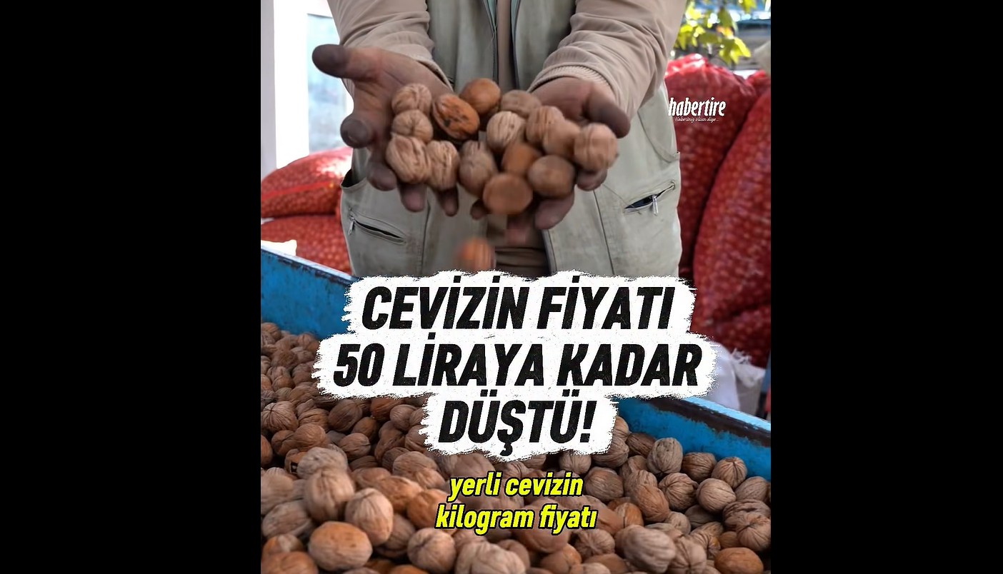 Cevizin fiyatı 50 liraya kadar düştü