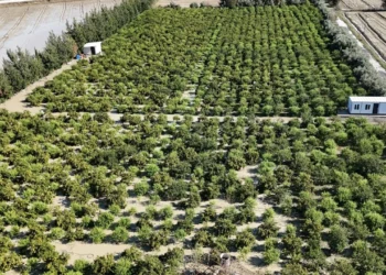 Hasata hazırlanan köylünün dünyası başına yıkıldı