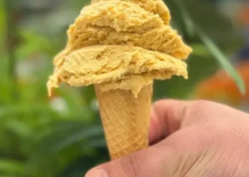 Türkiye'nin 3. tescilli dondurması oldu: 100 litre sütten 60 kilo üretiliyor 1 Türkiye’nin 3. tescilli dondurması oldu: 100 litre sütten 60 kilo üretiliyor
