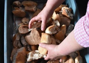 Buğday zirvede, ekmek çöpte! 17 Buğday zirvede, ekmek çöpte!