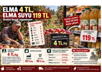 Elma 4 TL, elma suyu 119 TL: Üretici hasat yapamıyor
