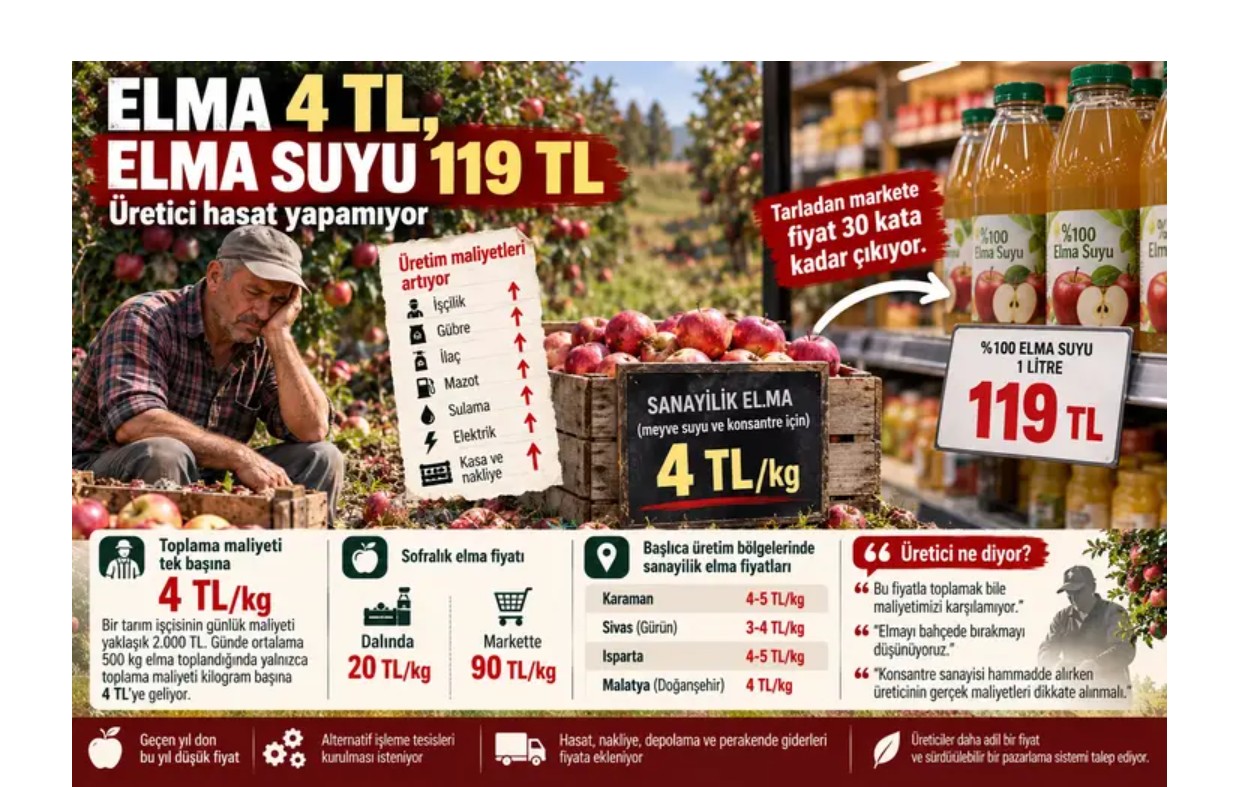 Elma 4 TL, elma suyu 119 TL: Üretici hasat yapamıyor