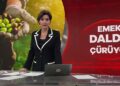 Emek dalda çürüyor