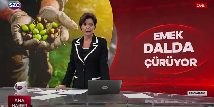emek