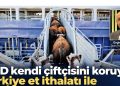 ABD kendi çiftçisini koruyor, Türkiye et ithalatı ile kimi koruyor? 11 ABD kendi çiftçisini koruyor, Türkiye et ithalatı ile kimi koruyor?