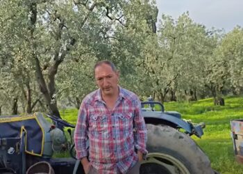 Gelin Gemlik Tekyürek Olalım Zeytinimize Sahip Çıkalım