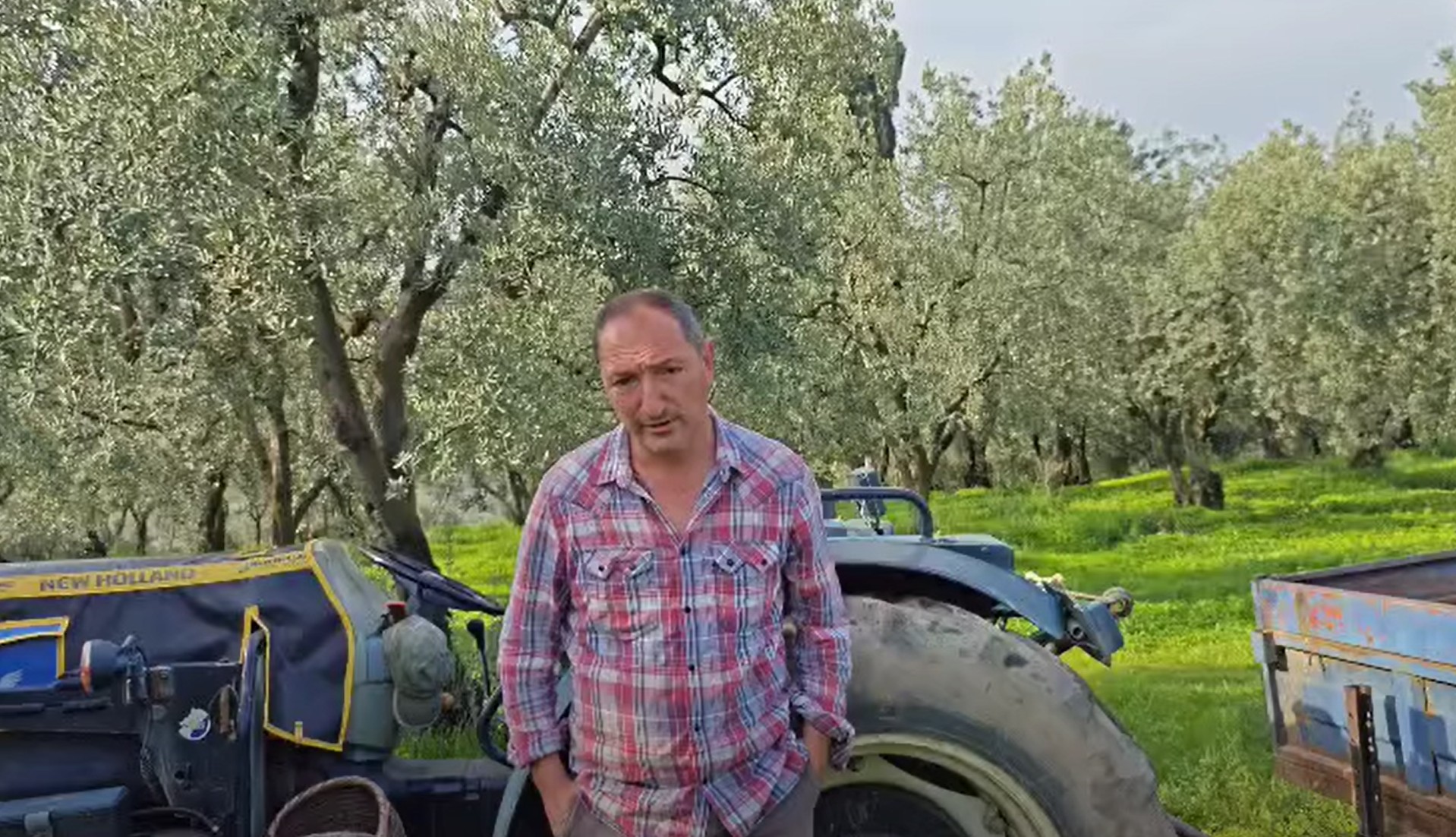 Gelin Gemlik Tekyürek Olalım Zeytinimize Sahip Çıkalım