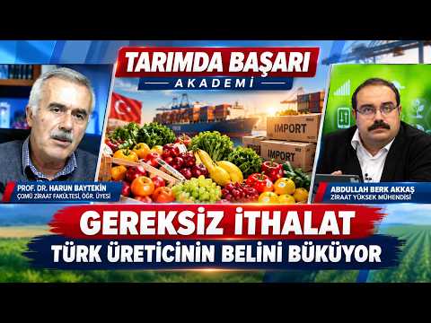 Gereksiz İthalat Türk Üreticinin Belini Büküyor