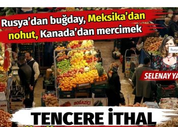 Rusya’dan buğday, Kanada’dan mercimek, Meksika’dan nohut… Tencere ithal ürünle kaynıyor