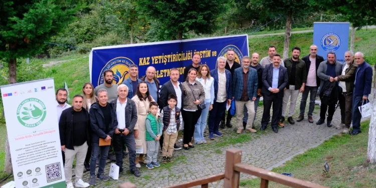 Samsun’da kaz yetiştiriciliğinde bilimsel üretim dönemi başlıyor 1 kaz yetistiriciligi
