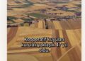 Kooperatif kuyuları kurulalı yaklaşık 47 yıl oldu!
