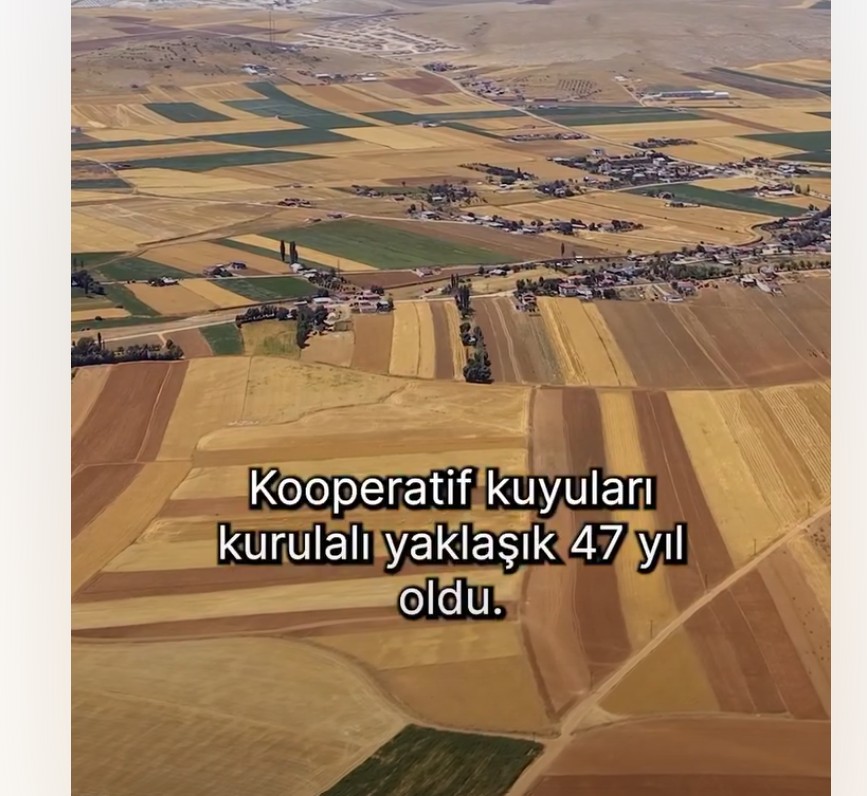 koop