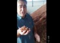 Şenol Özkaya: “Milli servet olan elek altı kuru üzüm çürümeye bırakılıyor”