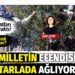 Milletin efendisi tarlada ağlıyor… Zeytin üreticileri üst üste gelen zamların ardından boykot kararı aldı
