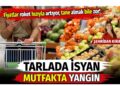 Sebze ve meyve fiyatları roket hızıyla artıyor: Tarlada isyan, mutfakta yangın! 10 Sebze ve meyve fiyatları roket hızıyla artıyor: Tarlada isyan, mutfakta yangın!